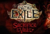 Path of Exile – Arctic Crown + Cobra Pet CD Key Action 2024-05-04