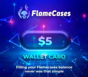 FlameCases 5 USD Gift Card Others 2025-01-10