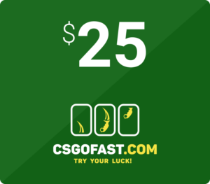 CSGOFAST 25 Fast Coins Gift Card Others 2025-01-12