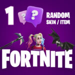 800x7001randomskinfortnite.jpg