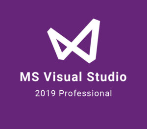 MS Visual Studio 2019 Professional CD Key Software 2024-09-21