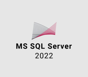 MS SQL Server 2022 CD Key Software 2024-09-21