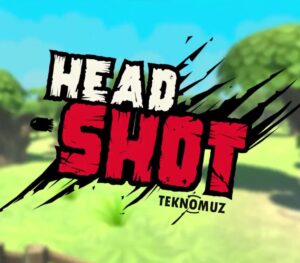 Head Shot Steam CD Key Action 2024-09-21