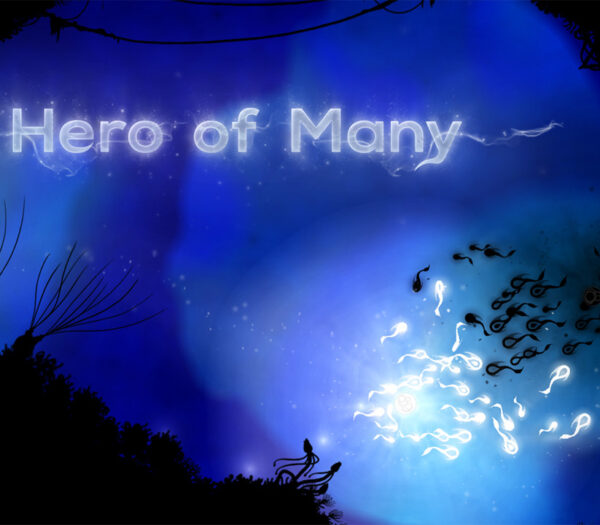 Hero of Many Steam CD Key Action 2024-11-20