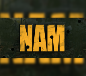 Nam Steam CD Key Action 2025-02-12