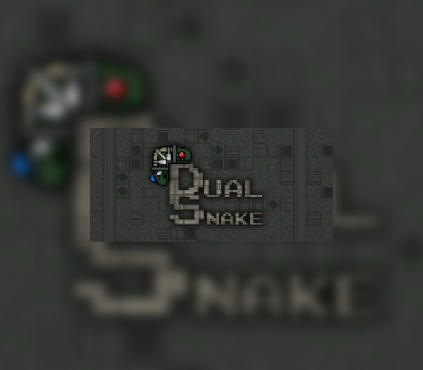 Dual Snake Steam CD Key Adventure 2024-11-25