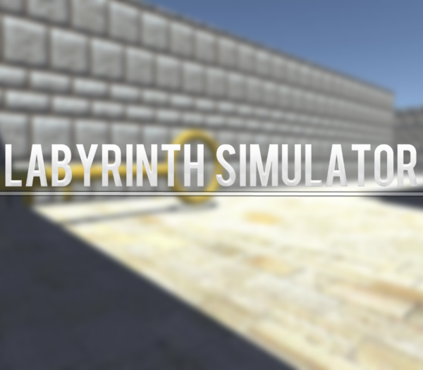 Labyrinth Simulator Steam CD Key Indie 2025-01-13