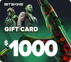 BitSkins.com $1000 USD Gift Card Others 2025-01-31