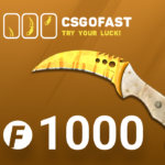 CSGOFAST 1000 Fast Coins Gift Card