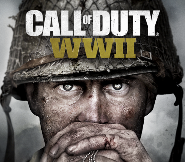 Call of Duty: WWII PlayStation 4 Account pixelpuffin.net Activation Link Action 2024-07-27