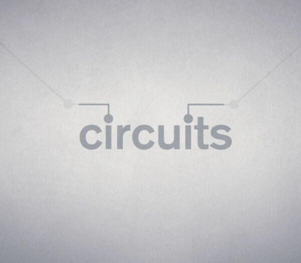 Circuits Steam CD Key Action 2024-11-19