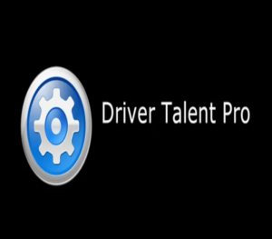 Driver Talent Pro Key (Lifetime / 1PC) Software 2024-09-20