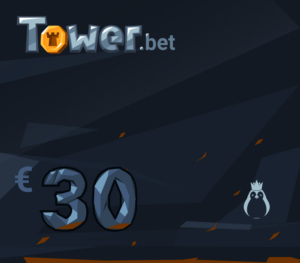 Tower.bet 30 EUR in BTC Gift Card Others 2025-01-13