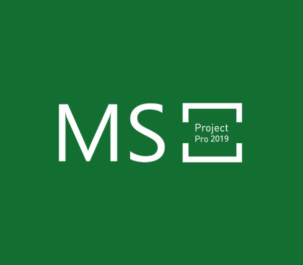 MS Project Professional 2019 CD Key Software 2024-09-20