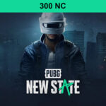 PUBG: NEW STATE - 300 NC CD Key