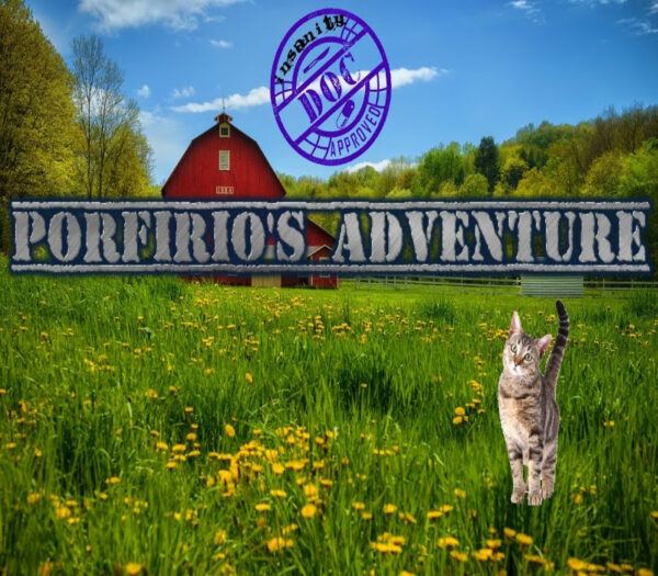 The Cat! Porfirio’s Adventure Steam CD Key Adventure 2024-11-20