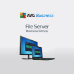 AVG File Server Business Edition Key (2 Years / 1 Device)