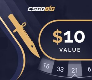 CSGOBIG $10 Gift Card