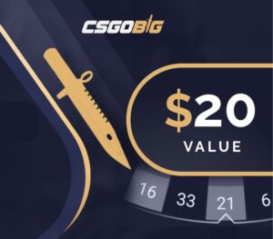 CSGOBIG $20 Gift Card Others 2024-09-20