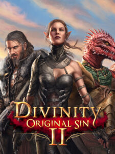 Divinity: Original Sin 2 GOG CD Key