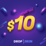 Drop.skin $10 Gift Card