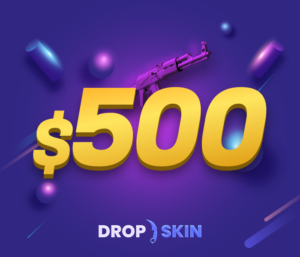 Drop.skin $500 Gift Card Others 2025-01-13