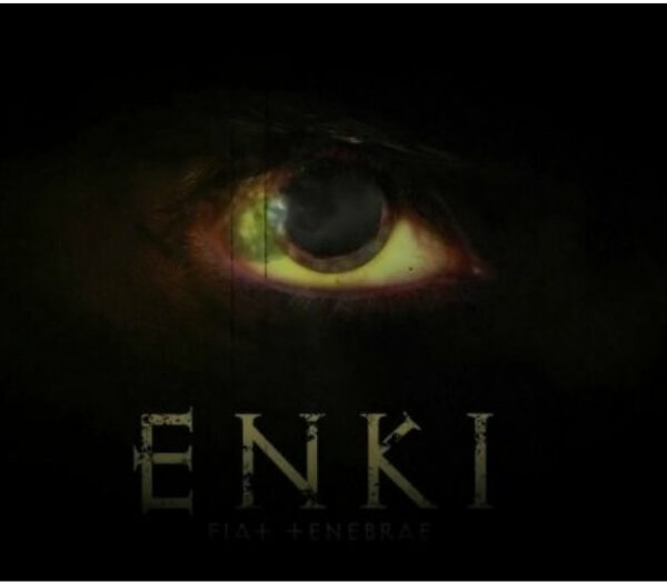 Enki Steam CD Key Adventure 2024-05-06