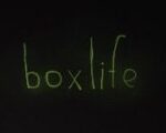 boxlife Steam CD Key