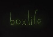 boxlife Steam CD Key