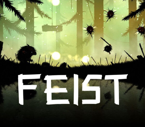 Feist Steam CD Key Action 2025-01-12