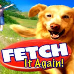 Fetch It Again Steam CD Key