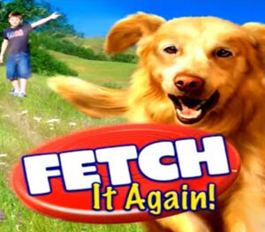 Fetch It Again Steam CD Key Casual 2025-01-16