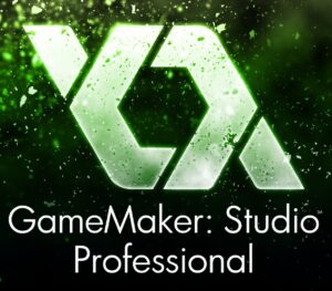 GameMaker: Studio Professional DLC Digital Download CD Key Others 2025-01-10