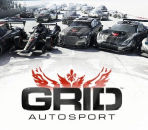 GRID Autosport Steam CD Key