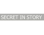 Secret in Story Steam CD Key