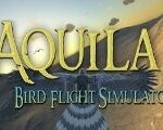 Aquila Bird Flight Simulator Steam CD Key