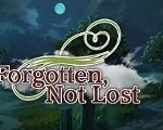 Forgotten, Not Lost Steam CD Key