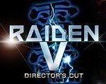 Raiden V: Director's Cut Steam CD Key