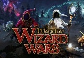 Magicka: Wizard Wars - Paradox Playtpus Robe DLC Steam CD Key