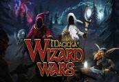 Magicka: Wizard Wars - Exclusive Staff and Blade DLC Steam CD Key