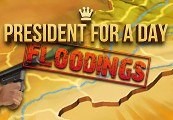 President for a Day - Floodings Steam CD Key