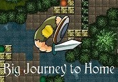 Big Journey to Home Steam CD Key