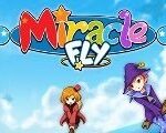 Miracle Fly Steam CD Key