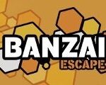 Banzai Escape Steam CD Key