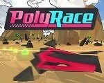 PolyRace Steam CD Key