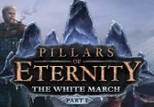 Pillars of Eternity: The White March - Part 1 Steam CD Key