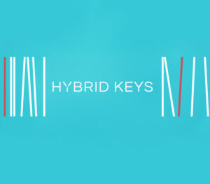 Native Instruments Hybrid Keys PC/MAC CD Key