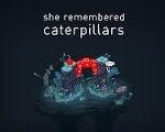 She Remembered Caterpillars Steam CD Key