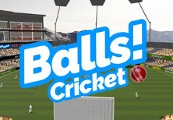 Balls! Virtual Reality Cricket Steam CD Key