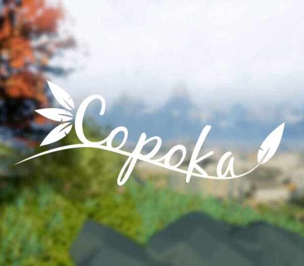 Copoka Steam CD Key Casual 2024-11-20